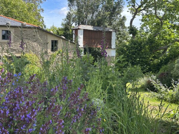 Charming Renovated Farmhouse In Idyllic Setting. 